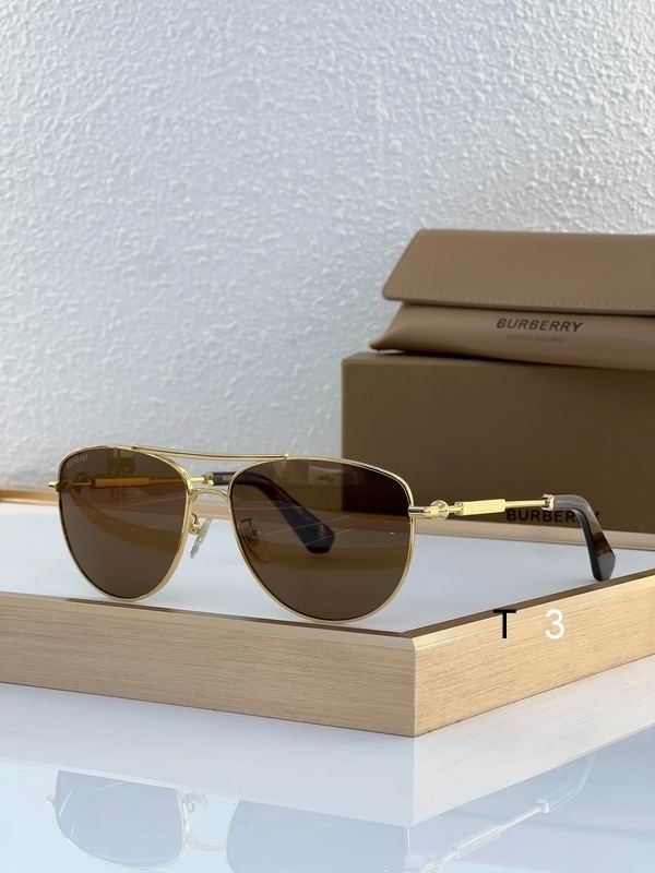 Burberry Sunglasses 396